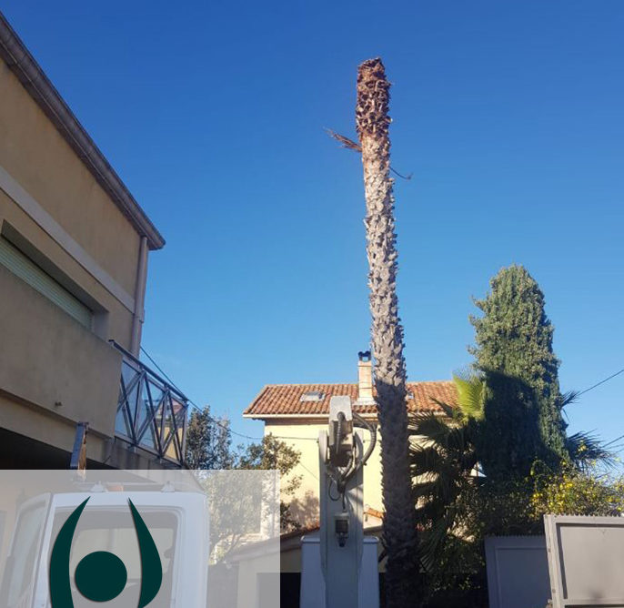 Élagueur avec nacelle Aigues-Vives 30670