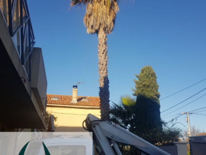 Élagueur avec nacelle Marsillargues