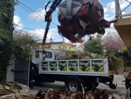 Élagueur avec nacelle Lansargues 34130
