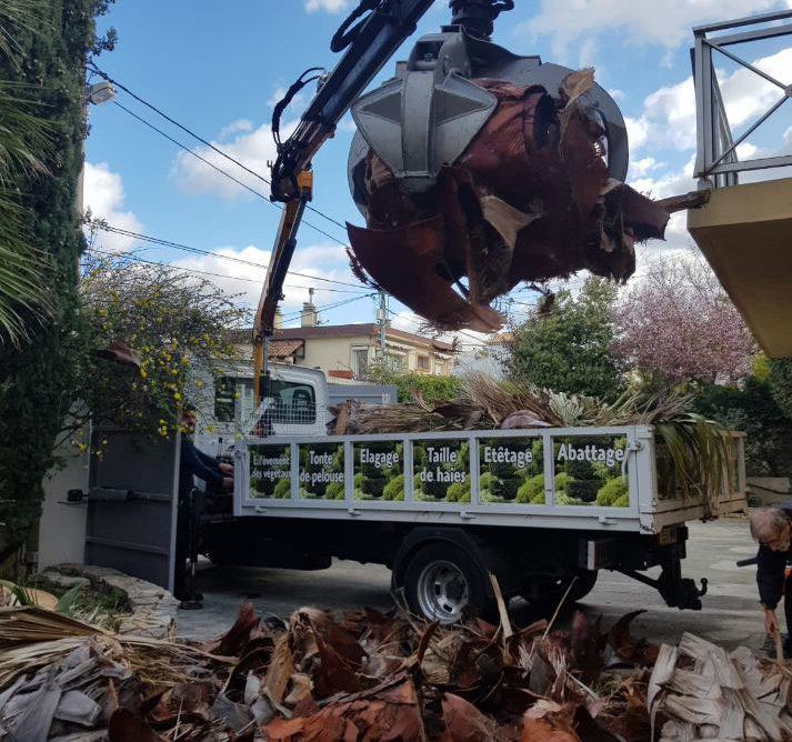 Élagueur avec nacelle Mauguio 34130