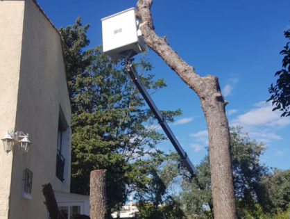 Élagueur avec nacelle Mudaison