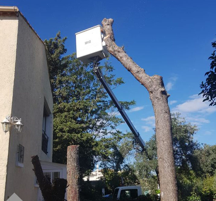 Élagueur avec nacelle Castelnau-le-Lez